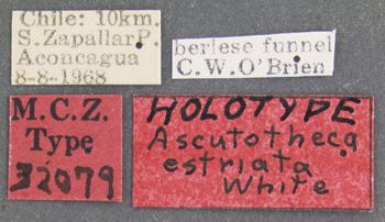 Media type: image;   Entomology 32079 Aspect: labels